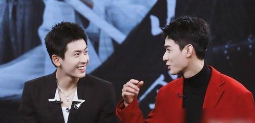 娱乐圈双男主,娱乐圈双男主的璀璨传奇